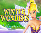 Winter Wonders